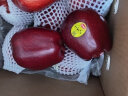 京鲜生美国特级华盛顿红蛇果8粒装 单果重约180-220g  生鲜水果 晒单实拍图