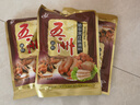 一灌芗 哈尔滨五洲红肠香肠调料100克自制灌红肠东北里道斯风味 10袋料（不含赠品） 实拍图