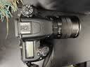 老蛙（LAOWA） 60mm f2.8 2:1 两倍放大微距镜头 单反微单半画幅镜头   产品昆虫牙齿 微距支持全画幅 老蛙60mm微距镜头 尼康F口 实拍图
