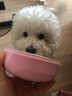 新乐宝贝（Thinkbaby）餐具儿童不锈钢辅食碗宝宝碗餐碗 粉色 4件套 密封设计 双层隔热 实拍图