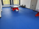 动联无界乒乓球室内运动地胶赛事专用防滑PVC环保地垫加厚升级布纹地胶垫 晒单实拍图