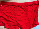 七匹狼红内裤男冰丝莫代尔四角短裤男士本命年结婚大红色平角裤蛇年礼物 亲肤柔软本命年大红色-平角裤 2条 4XL (腰围3-3.2尺 180-190斤) 实拍图