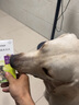 拜宠清德国进口拜宠清拜耳犬用体内驱虫药拜宠清复方非班太尔除蛔虫绦虫 德国原装进口狗拜耳拜宠清体内驱虫6粒/盒X2 实拍图