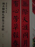 春联挥毫必备·颜真卿勤礼碑集字春联 实拍图
