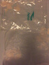 浩沙（hosa）游泳裤男士及膝五分平角泳裤防尴尬专业速干抗氯温泉泳裤 502黑紫色（单条泳裤） 2XL （高180-190cm重85-95KG） 实拍图