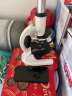 凤凰显微镜标本切片载玻片盖玻片套装动物植物细胞昆虫标本儿童实验 50片装 实拍图