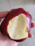 千果娘娘美国品种红蛇果 新鲜当季时令水果 特级红苹果A级+ 特大苹果整箱 4个装【单果200-230g】 晒单实拍图
