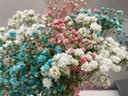 爱满（AIMAN）满天星天然干花花束ins网红生日 新房装饰摆件风干真插花家居摆设 蓝+白+粉满天星 【不带花瓶】 实拍图