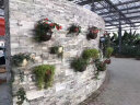 石设汇（shishehui） 天然石材文化石外墙砖别墅设计自建房背景墙花园仿古石板围墙 水墨云灰单片 150*600 晒单实拍图