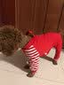 DADAGOU泰迪狗狗衣服贵宾春秋冬季装薄款宠物狗小型犬四脚腿衣比熊打底衫 滑板小子【红色】 L【体重6-8.5/胸围42/背长30】 实拍图