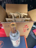 红星二锅头酒 白酒  北京红星品鉴 纯粮酿造 清香型 52度 500mL 6瓶 整箱装 实拍图