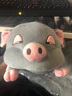GONGZHUXIONG毛绒玩具公仔抱枕长条睡觉枕头布娃娃女孩布偶儿童玩偶生日礼物 灰色猪 36厘米 实拍图