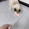 HOUYA逗猫激笔光充电激光灯猫玩具小猫自嗨解闷猫咪红外线逗猫棒猫咪 实拍图