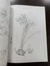 满庭芳 工笔白描百花画谱 实拍图