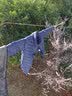 鸭鸭（YAYA）轻薄羽绒服男短款2026年秋冬新款时尚休闲连帽保暖男装羽绒外套Y 藏青色 L (175) 实拍图