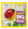 美国国家地理儿童百科 虫子 National Geographic Little Kids First Big Book of Bugs 进口原版 少年儿童科普 大开本 实拍图