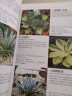 700种多肉植物原色图鉴 （第二版） 实拍图