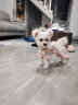 华元宠具（hoopet）狗狗衣服小型犬秋冬保暖宠物衣服冬天比熊幼犬泰迪小狗全包四脚衣 【棉质薄款】四脚护肚衣-胭脂粉 XS:背长22.5cm-推荐体重2-5斤 实拍图