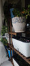 华观家居（Home Giving Furniture）凳子实木花架客厅花盆简约现代阳台木制阶梯多肉绿箩植物组合花架 60大小组合 实拍图