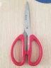 炊大皇 剪刀 厨房剪 家用办公剪子 多用剪 剪鸡骨剪肉  实拍图