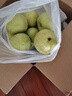 莹多爱【官方补贴】 砀山梨 老树梨子 生鲜水果砀山梨 安徽特产酥梨 10斤优选装（净重8.5斤） 实拍图
