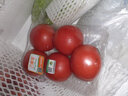 東昇供港大番茄500g 西红柿 酸甜多汁火锅食材 广州蔬菜新鲜配送 实拍图