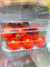 樱桃小西红柿  千禧圣女果 番茄 约500g  生鲜水果 健康轻食 实拍图