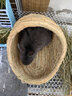 安迪优美兔子兔兔窝 龙猫天竺鼠荷兰猪草窝 保暖草垫  草窝兔子兔兔窝龙猫 中号稻草拖鞋 实拍图
