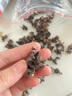 修年堂 拐枣干500g 枳椇子 新鲜晒干拐枣 泡酒料拐枣酒 拐枣果万寿果 实拍图