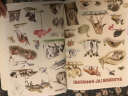 小小自然观察员 动物科普绘本（套装共5册） 实拍图