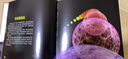 给孩子的极简宇宙史（精装图文版） 实拍图