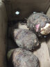 三颂广西荔浦的芋头新鲜大芋头现挖粉香芋头 低脂早餐 粉糯香甜 5斤大果（3-5个装） 实拍图