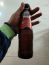 克伦堡1664（Kronenbourg 1664）啤酒 白啤/桃红/百香果/树莓/玫瑰法式果味精酿啤酒 整箱装 3口味 250mL 8瓶 组合装 实拍图