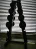 力诺 专业健身房哑铃套装男士家用一对5KG10公斤20包胶商用固定哑铃 105KG套装 实拍图