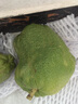 风车车农场云南香橼果 佛手柑 佛手香缘果 青果 当季新鲜水果 4-5斤（青果）约2个 实拍图