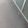 布艺清洗机家用吸尘器喷抽一体机窗帘沙发清洁机商用地毯清洗机抽吸一体洗沙发机 喷抽机五合一【家商版】 实拍图