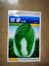 凤鸣雅世 四季蔬菜种子都市菜园速生阳台农家庭院盆栽油菜菠菜芹菜香菜籽 韩国泡菜用大白菜种子10克 实拍图