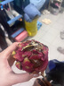 探味君 广西红心火龙果 简装 金都一号生鲜 新鲜水果带箱 2斤 净重1.8斤【单果4-6两】 实拍图