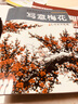 中国画实用技法丛书：写意梅花 实拍图