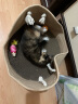 田田猫宠物猫用品猫玩具彩色绒绳毛线绳编小球套装猫玩具3个装 实拍图