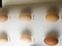 食材 实拍图