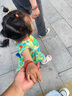 卡特兔儿童凉鞋男童夏季童鞋宝宝学步鞋幼儿凉鞋女宝公主鞋婴童洞洞鞋子 白色-无吊坠 27 内长16.5cm  脚长15.6-16.2 实拍图