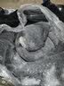 南极人（Nanjiren）牛奶绒被子冬季加厚加绒被芯冬天宿舍单人棉被盖被毛毯被褥春秋被 TT深灰【双面加绒 3秒速暖】 150*200cm/7斤 实拍图