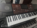 KORG科音合成器PA600/700/1000专业舞台演奏PA5X编曲键盘EK50电子琴 PA700+全套豪礼 实拍图