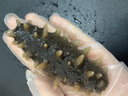 舜御堂大连淡干海参9年深海底播 辽刺参 海参干货 7A系列简装500克 45-65头 实拍图