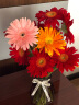 神瓶八玻玻璃干花透明花瓶欧式水培绿萝植物客厅摆件百合插描口加高花瓶 水中花（18+15）暗红组合 实拍图