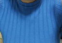 尚都比拉半高领针织衫纯色基础款打底衫女春秋内搭洋气上衣 蓝色 均码  实拍图