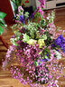 爱满（AIMAN）鲜花真花云南干花花束勿忘我真花家居摆设插花简约混搭满天星干花 六色勿忘我+情人草 30支 干花包 实拍图