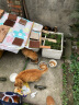 渔极（AkikA）猫罐头泰国原装进口AK系列猫湿粮宠物猫零食成幼猫罐头 ak05金枪鱼+鲭鱼（12罐） 实拍图