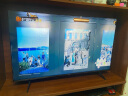 TCL电视 50T8H 50英寸 QLED量子点 超薄 4+64GB大内存 4K 平板电视机 以旧换新 50英寸 官方标配 实拍图
